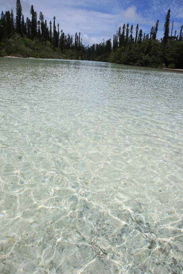 ニューカレドニア　イル･デ･パン島　オロ湾