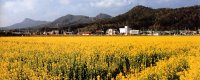 日本の島再発見