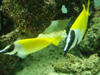 キプロス島_水族館